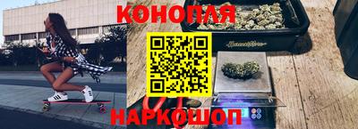 стафф Пенза