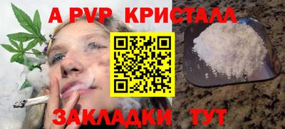 стафф Пенза