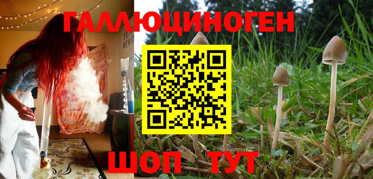Галлюциногенные грибы MAGIC MUSHROOMS Серов